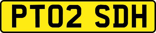 PT02SDH