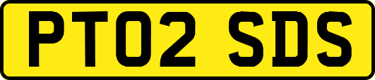 PT02SDS