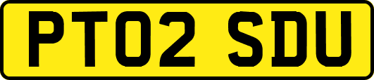 PT02SDU