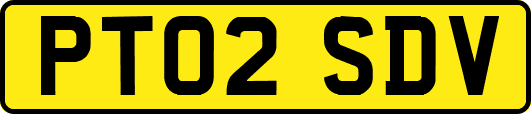 PT02SDV