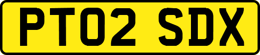 PT02SDX