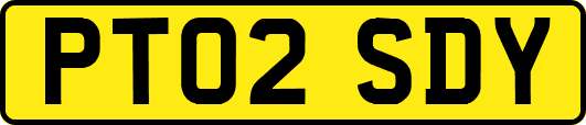 PT02SDY