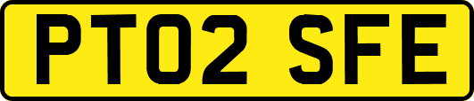 PT02SFE