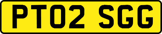 PT02SGG