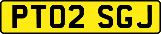 PT02SGJ