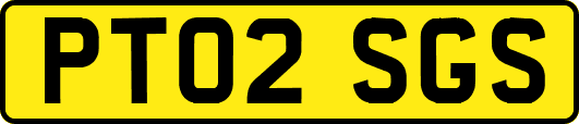 PT02SGS