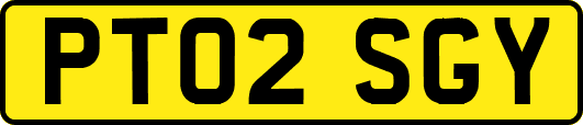 PT02SGY