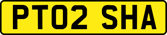 PT02SHA