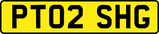PT02SHG