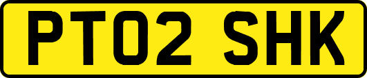PT02SHK