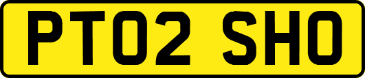 PT02SHO