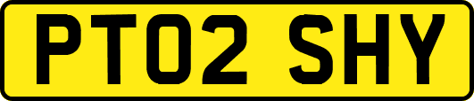 PT02SHY