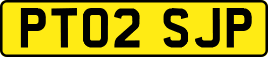 PT02SJP