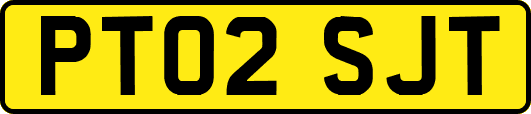 PT02SJT