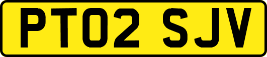 PT02SJV