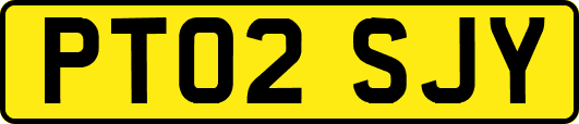PT02SJY