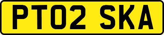 PT02SKA
