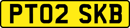 PT02SKB