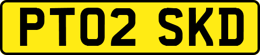 PT02SKD