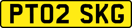 PT02SKG