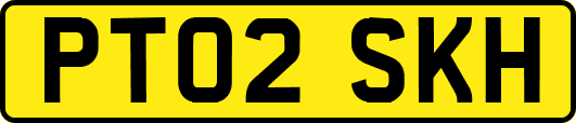 PT02SKH