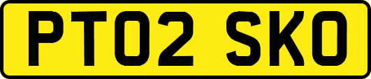 PT02SKO