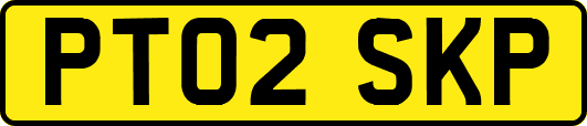 PT02SKP