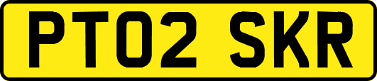 PT02SKR