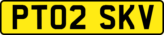 PT02SKV