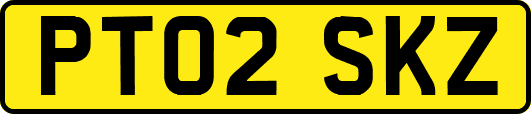 PT02SKZ
