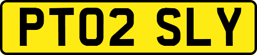 PT02SLY