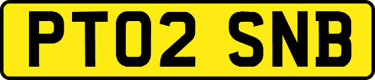 PT02SNB