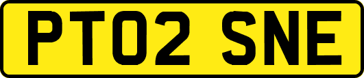 PT02SNE