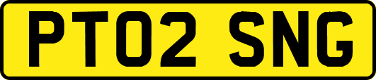 PT02SNG