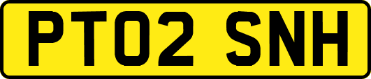 PT02SNH