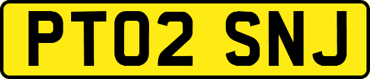 PT02SNJ