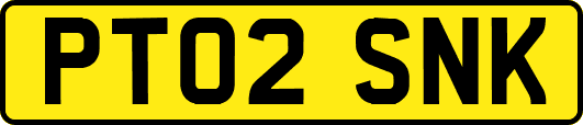 PT02SNK