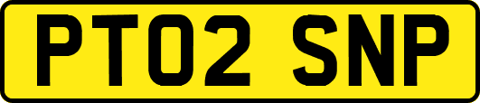 PT02SNP