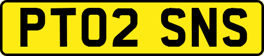 PT02SNS