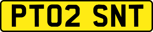 PT02SNT