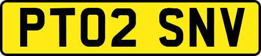 PT02SNV