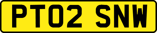 PT02SNW