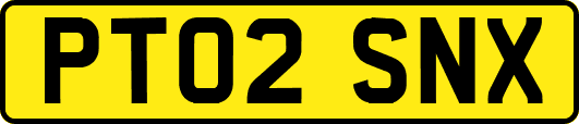 PT02SNX