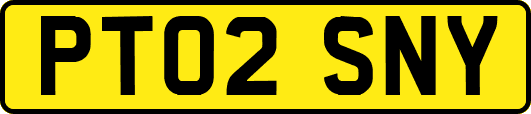 PT02SNY