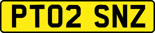 PT02SNZ
