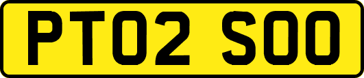 PT02SOO