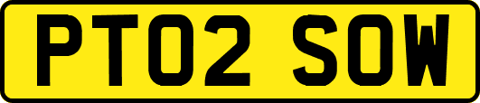 PT02SOW