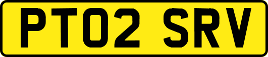 PT02SRV