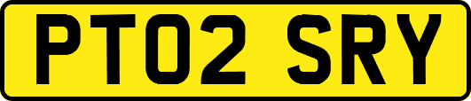 PT02SRY