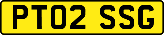 PT02SSG